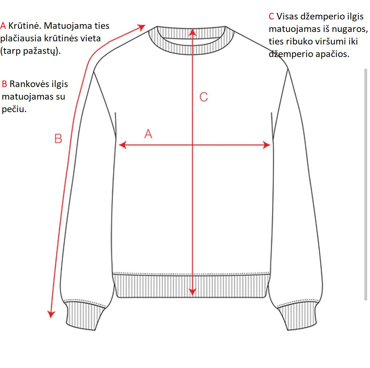 Oversize stiliaus komplektas moterims iš storo pūkelio  “Pelenų rožė”